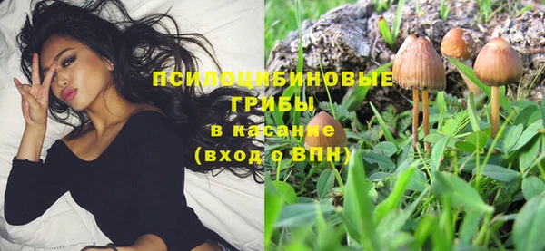 прущая мука Горно-Алтайск