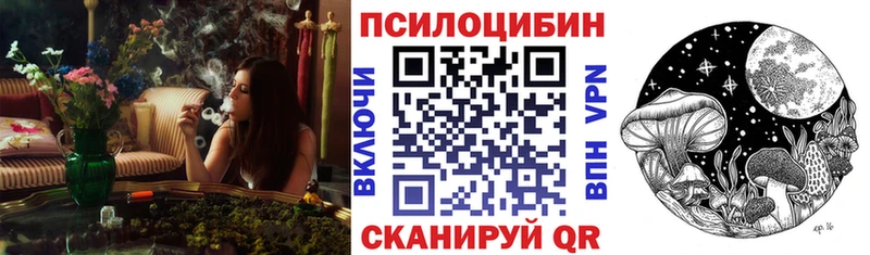 Галлюциногенные грибы Cubensis  Купить закладки  Курильск 